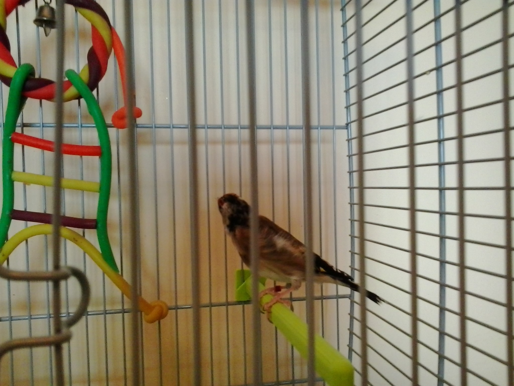 2013-08-02 13.40.47.jpg