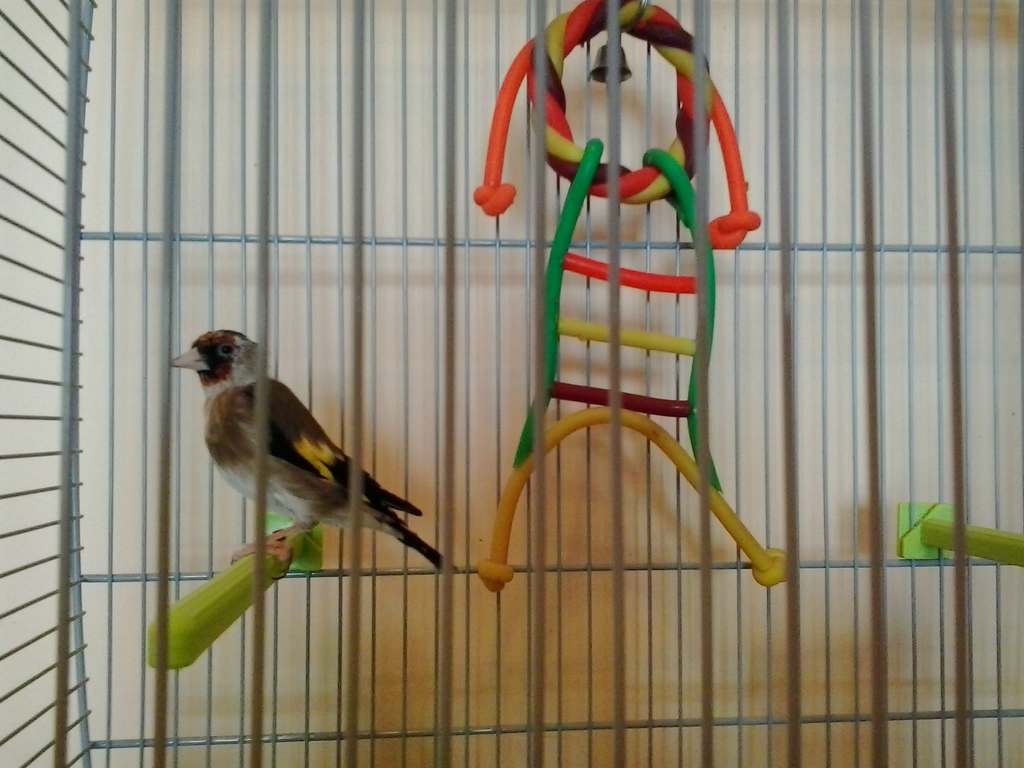 2013-08-02 13.41.03.jpg