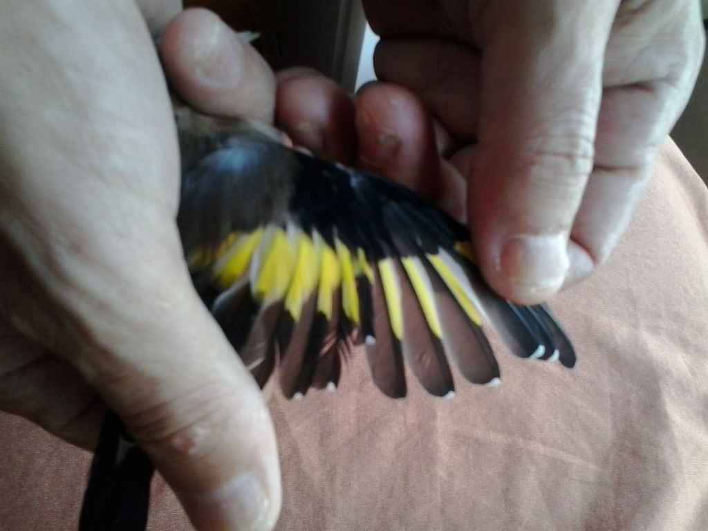 2013-08-02 15.50.01.jpg