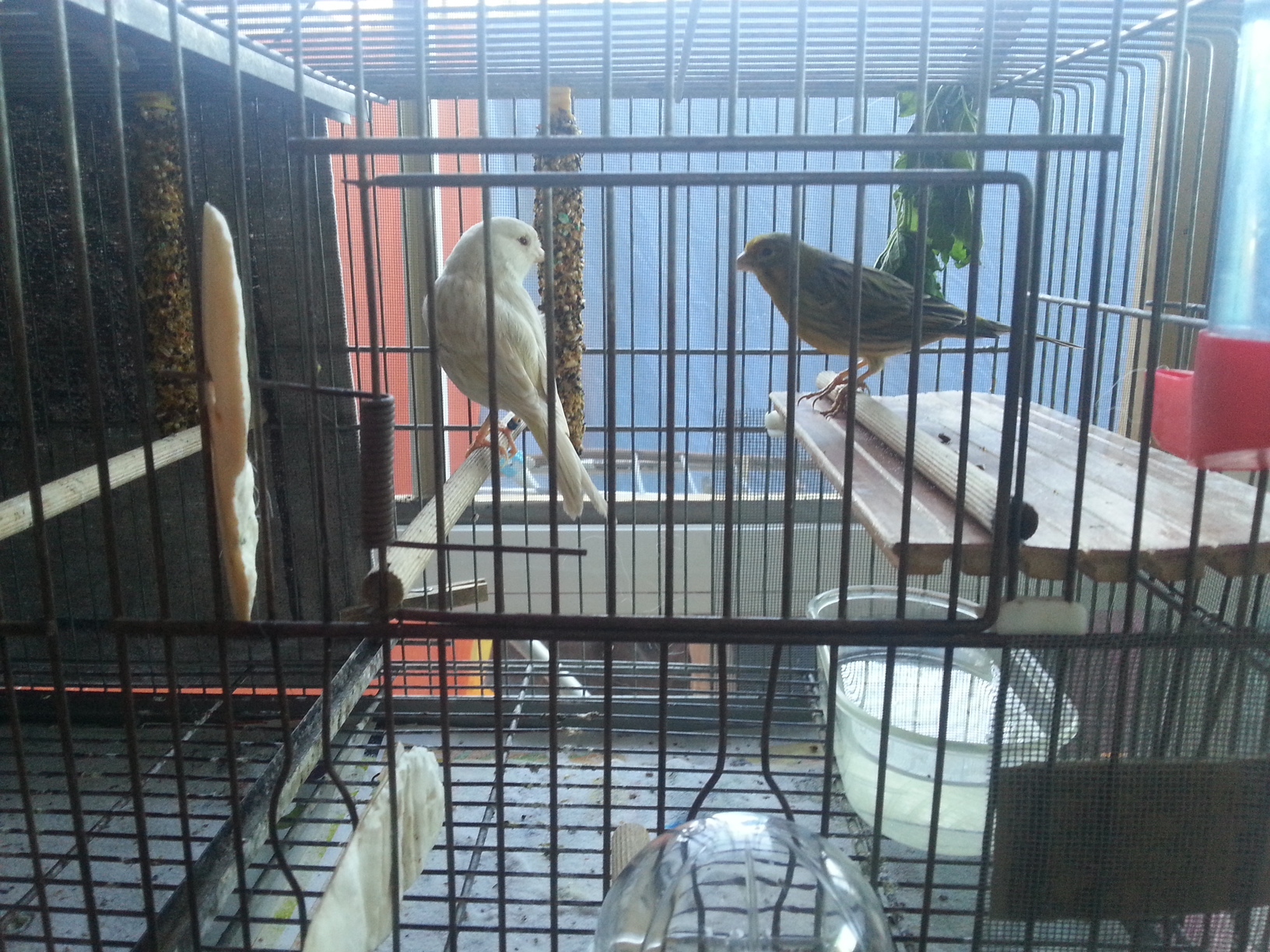 20130802_205149.jpg