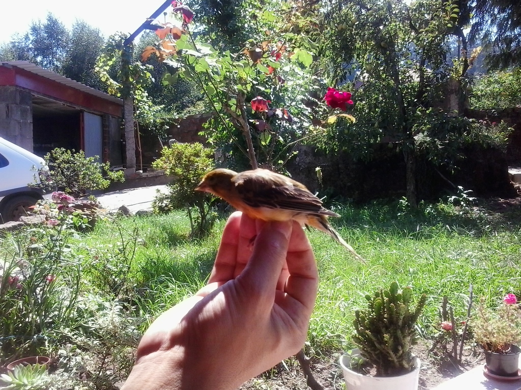 2013-08-11 16.15.25.jpg