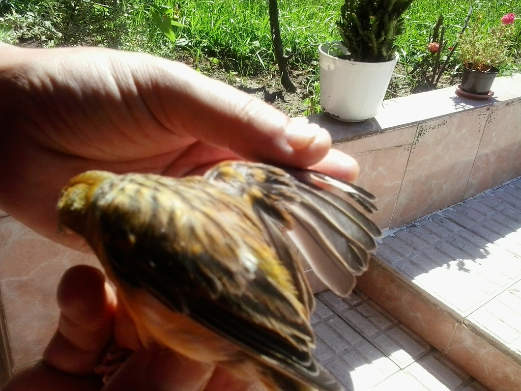 2013-08-11 16.15.43.jpg