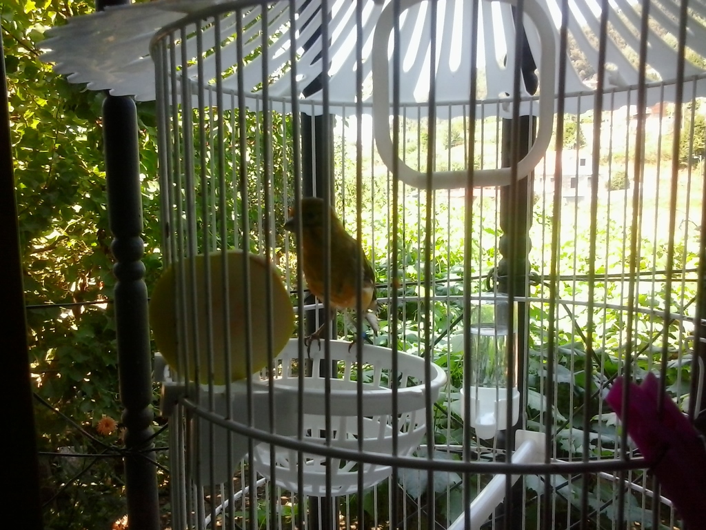 2013-08-11 16.33.16.jpg