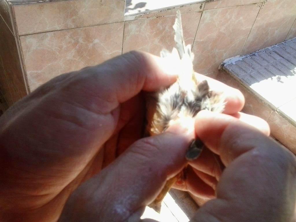 2013-08-11 16.14.35.jpg