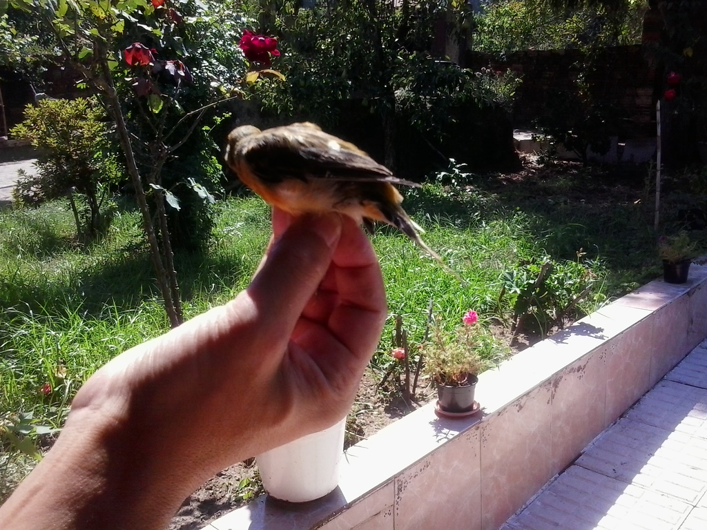 2013-08-11 16.15.04.jpg