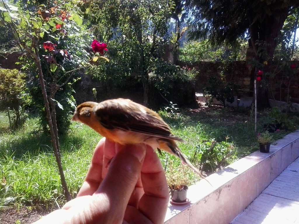 2013-08-11 16.15.19.jpg