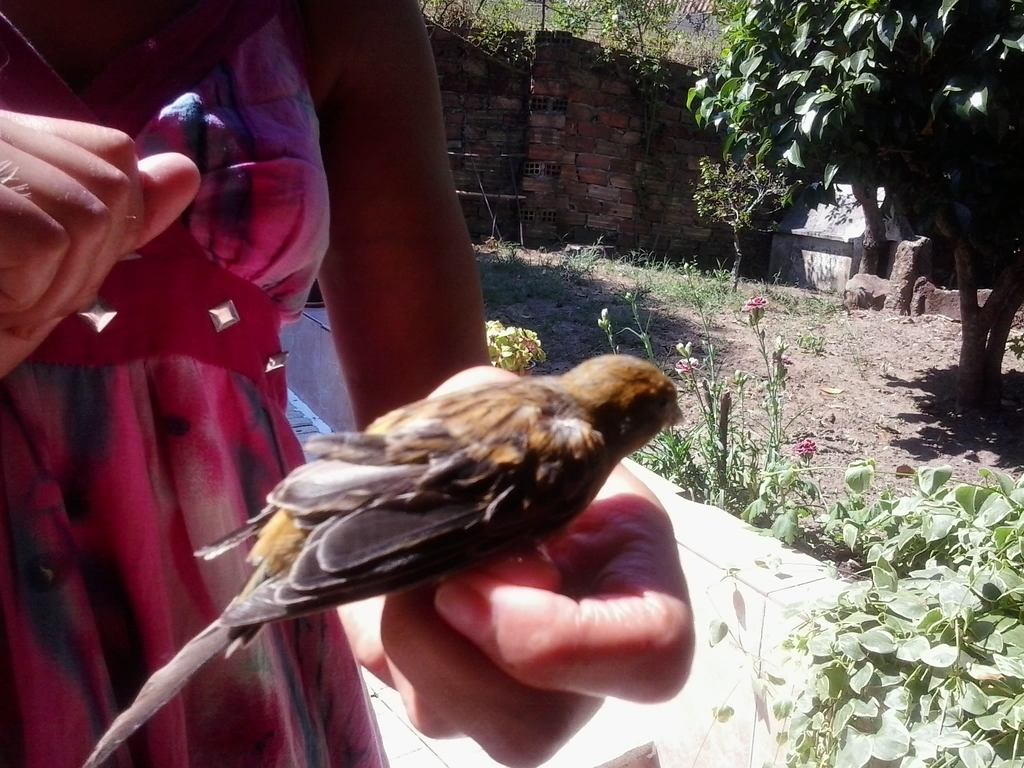 2013-08-11 16.19.35.jpg