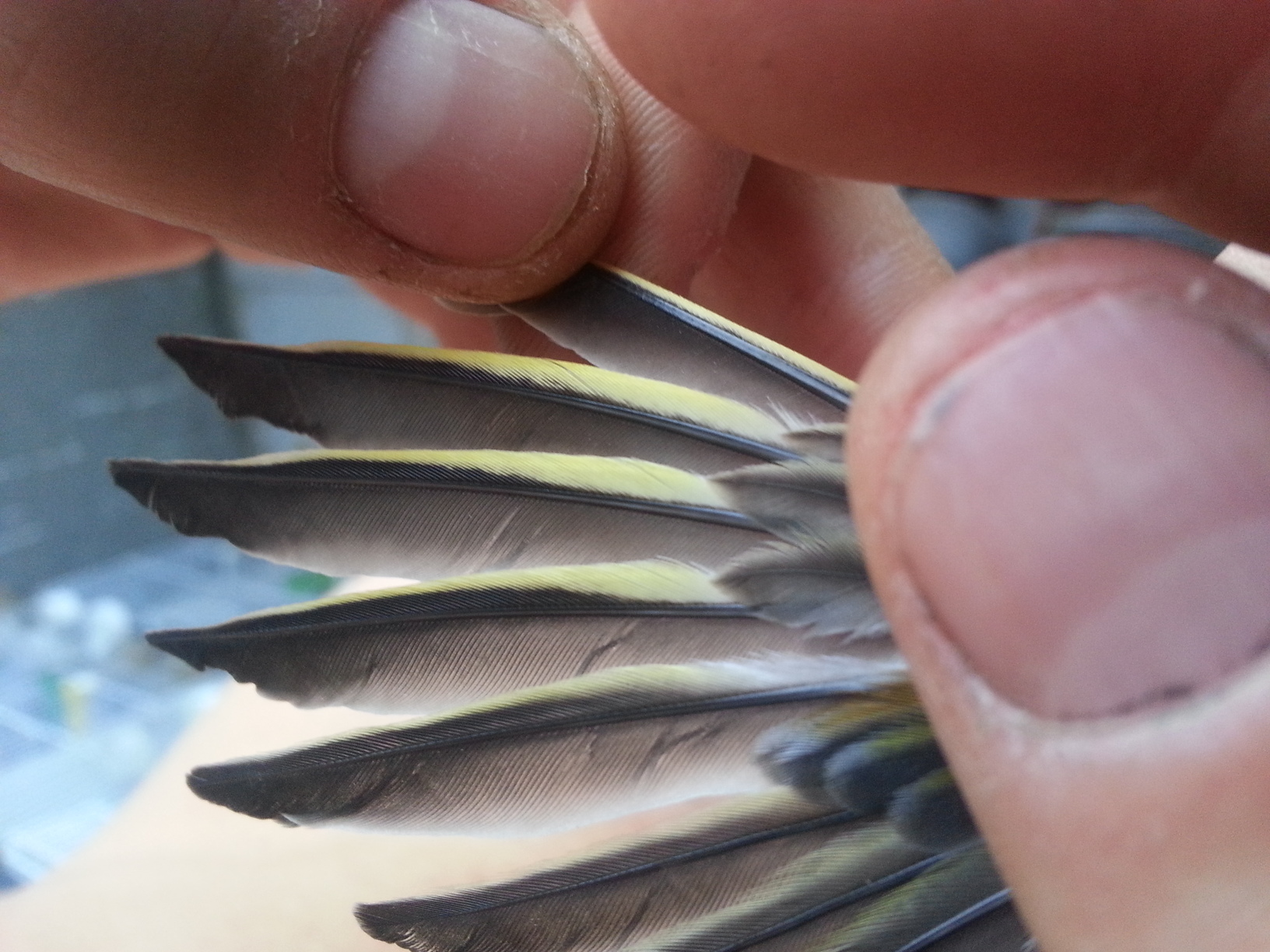 20130815_112046.jpg