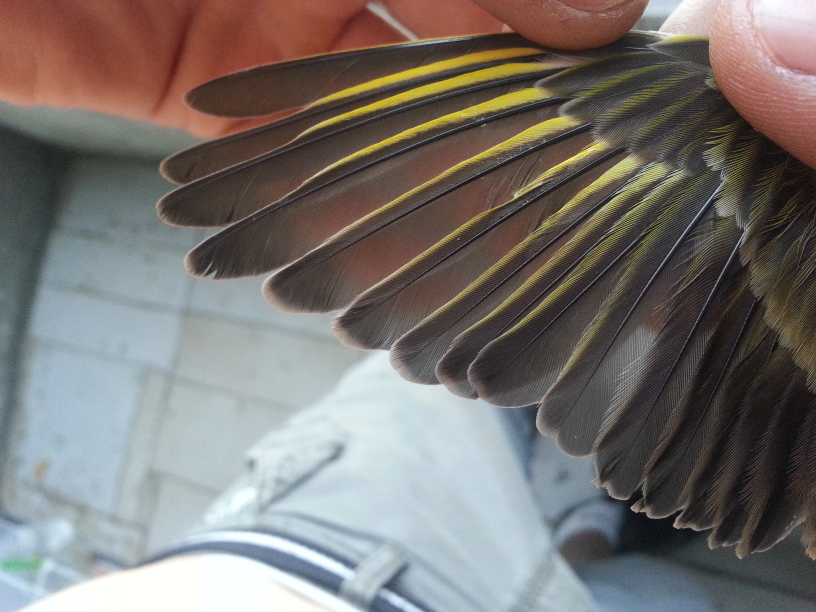 20130815_111743.jpg