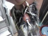 Foto0781.jpg