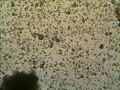 TS_11_09_12_46_23.jpg