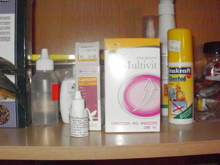 P3110003.JPG