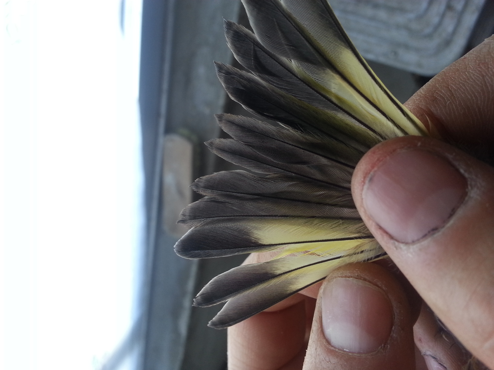 20130815_112123.jpg