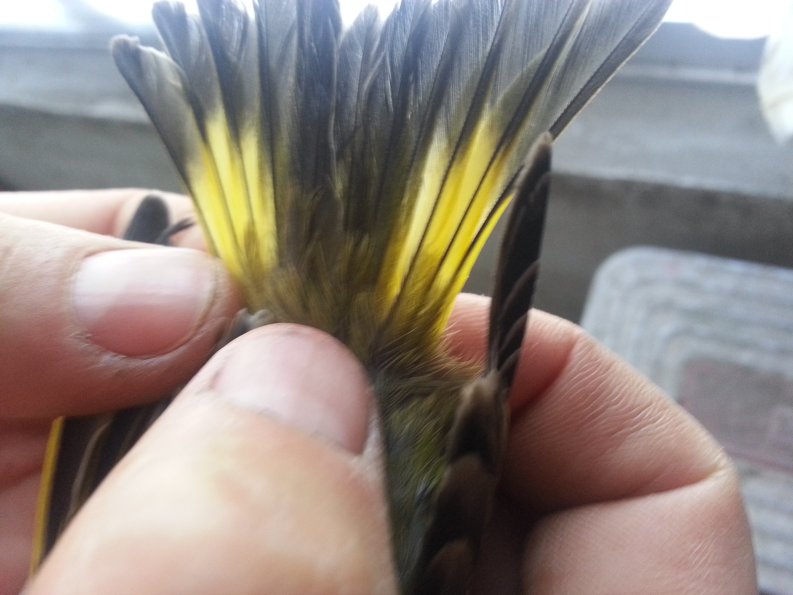 20130815_111809.jpg