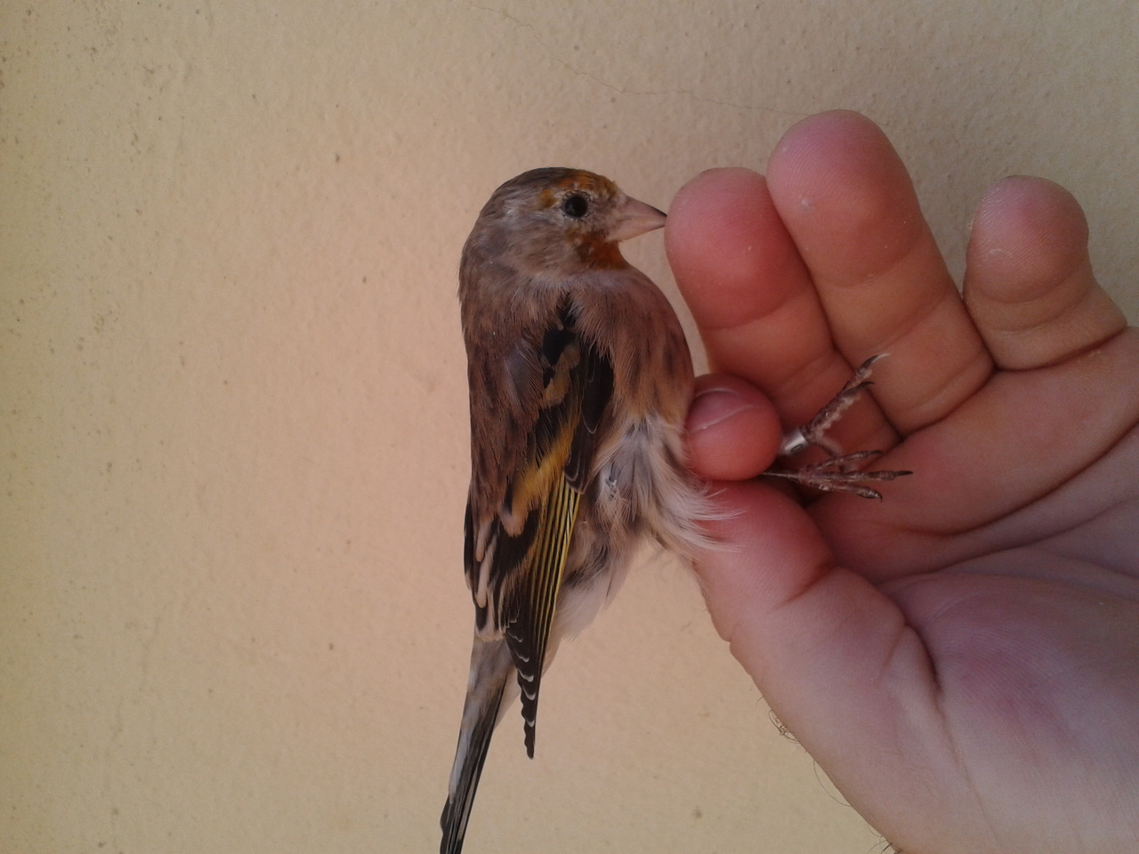 2013-08-20 09.47.40.jpg