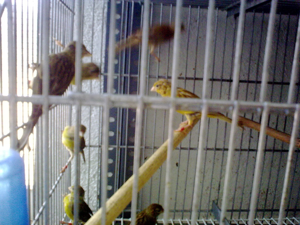 100820121136.jpg