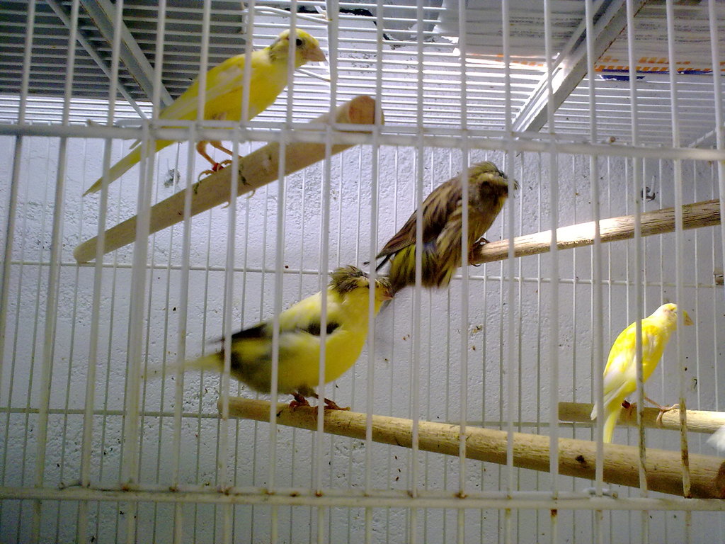 100820121141.jpg
