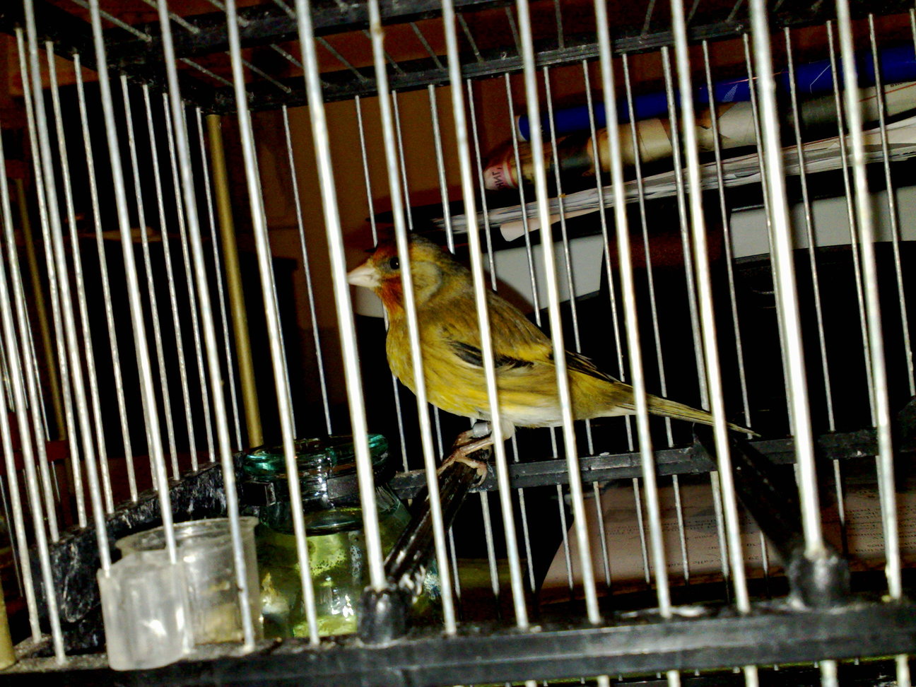 12032011179.jpg
