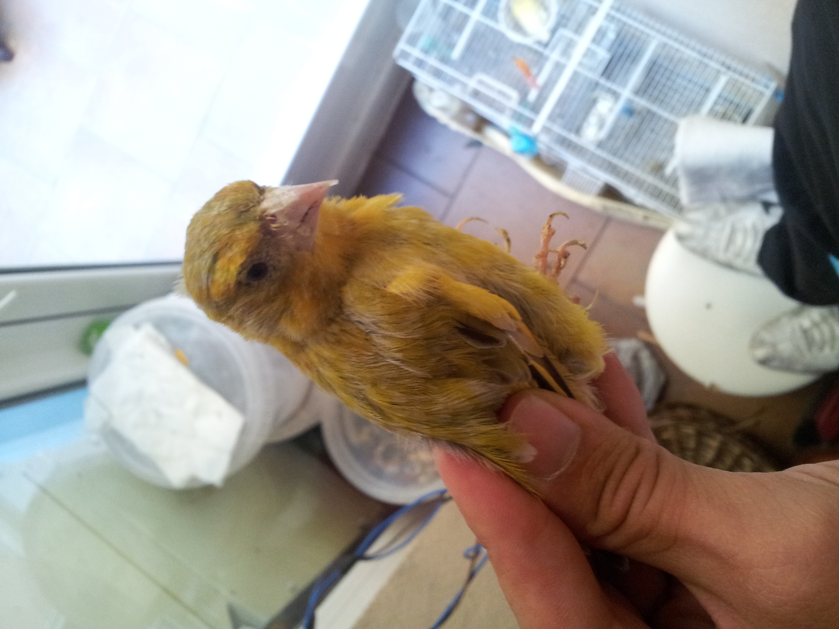 20130822_174604.jpg
