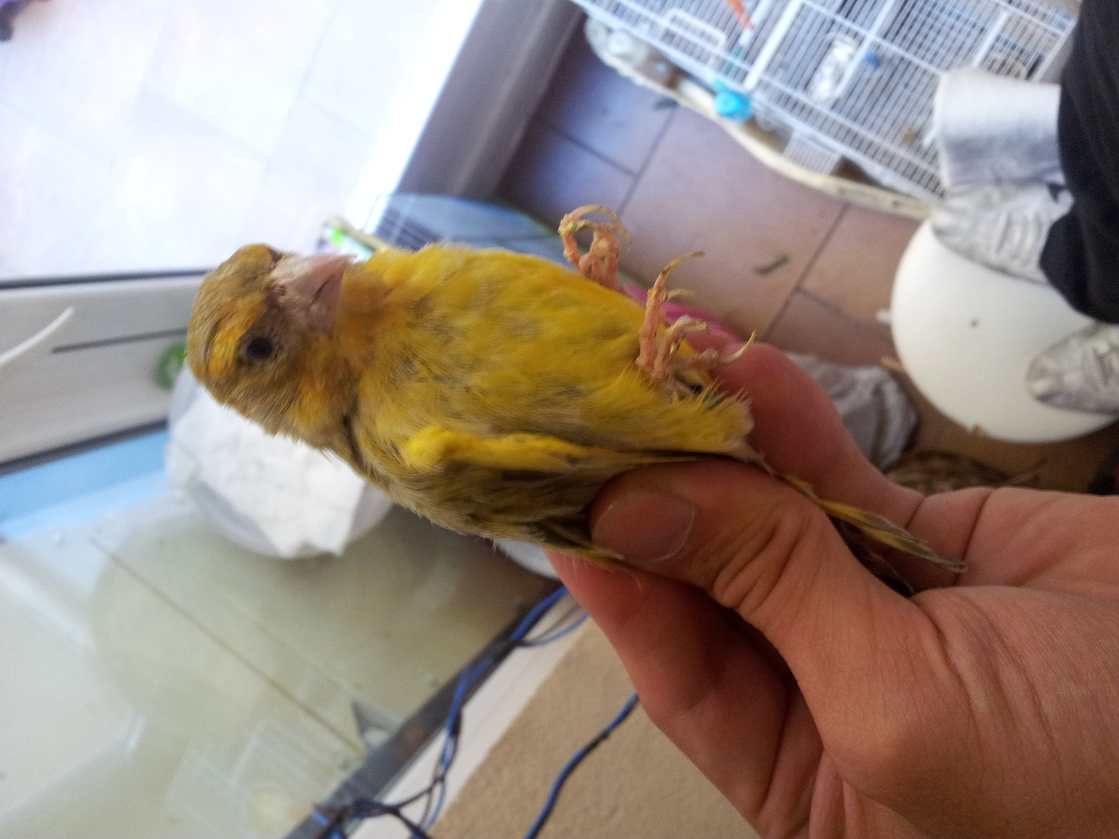 20130822_174558.jpg