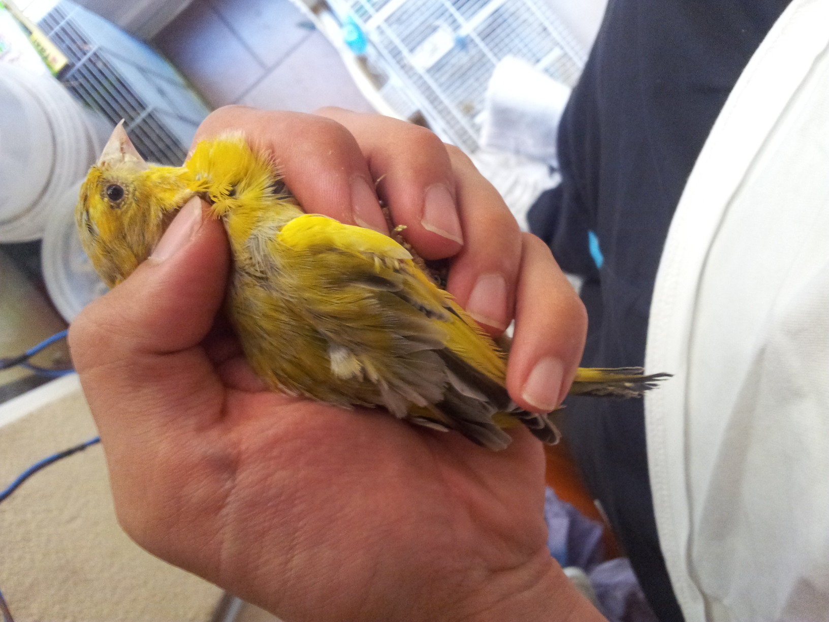 20130822_174534.jpg
