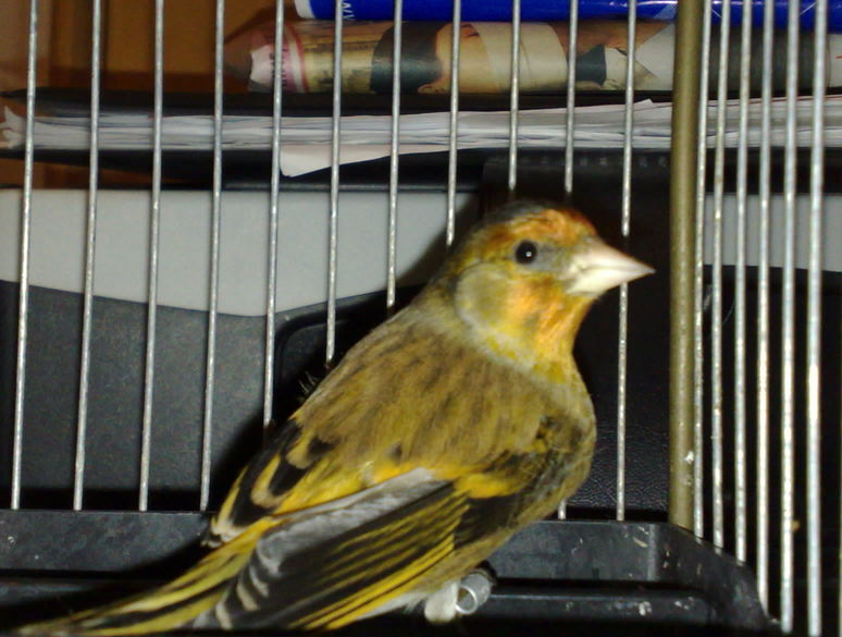 image_0001.jpg