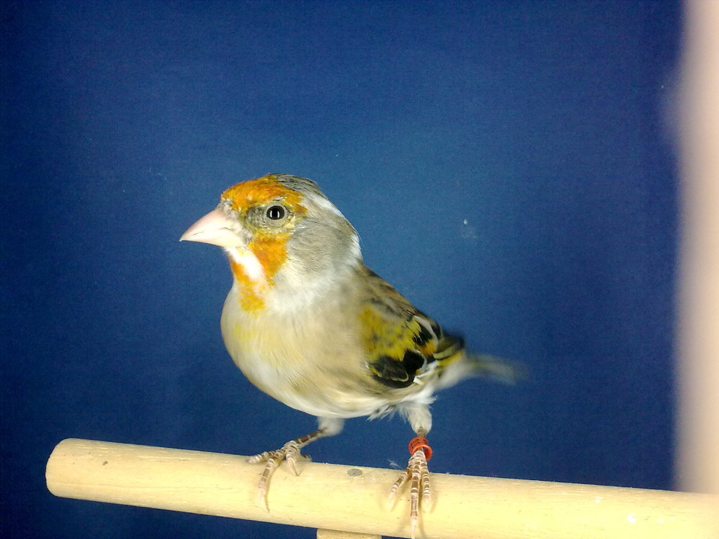 100620131618.jpg