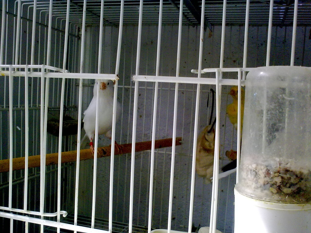 100820121142.jpg