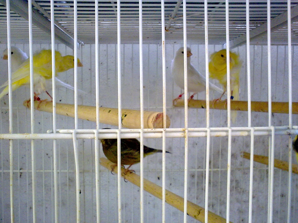 100820121143.jpg