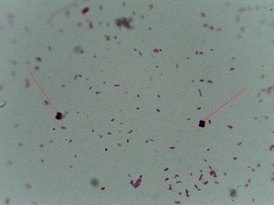 250820132024.jpg