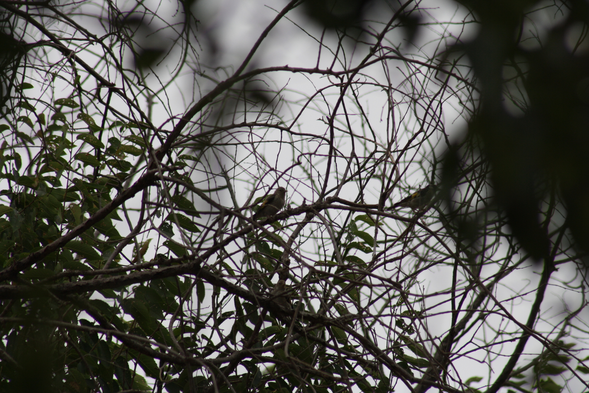 Imagen 067.jpg