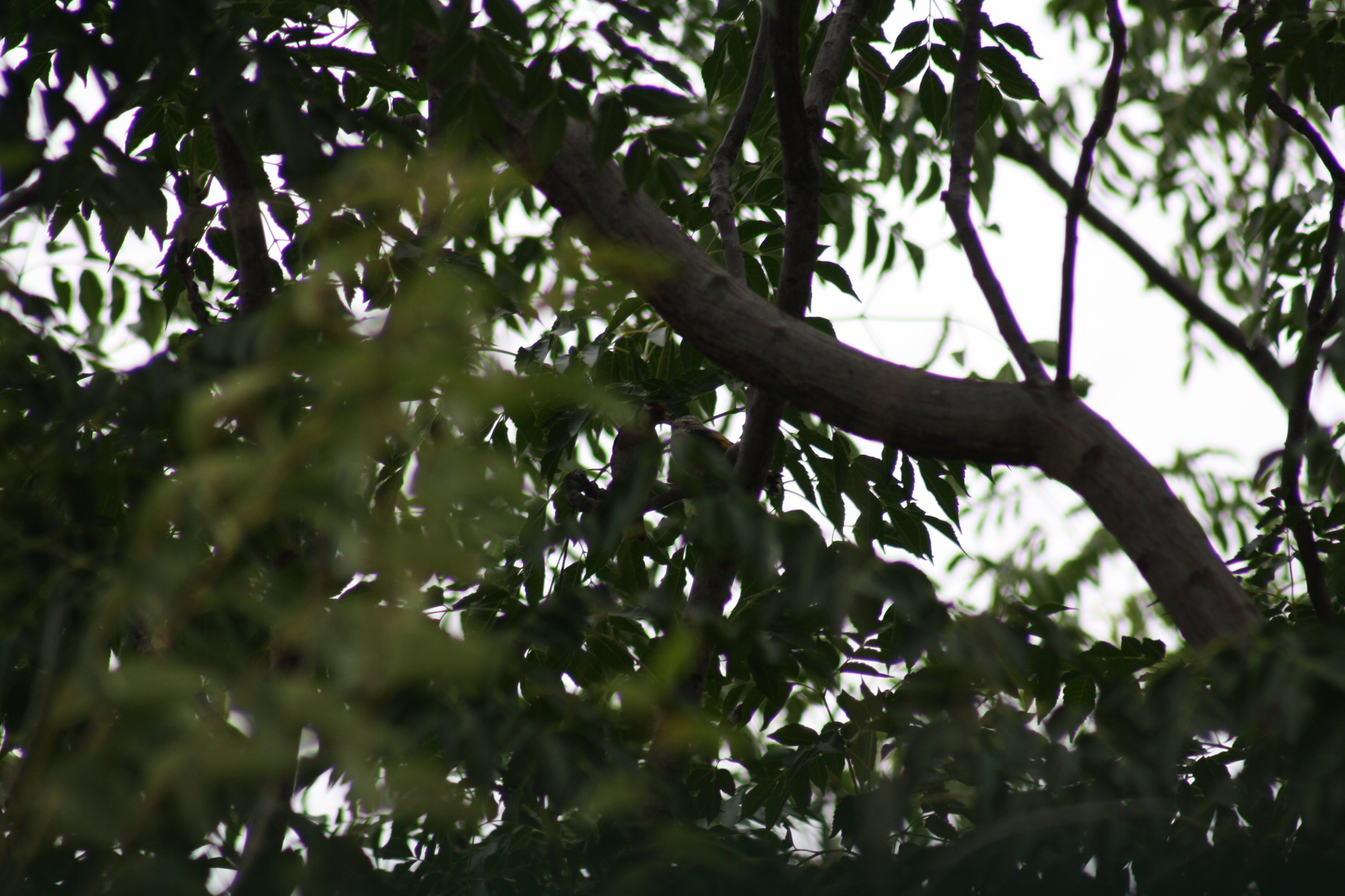 Imagen 075.jpg
