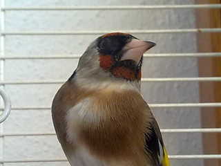 13032011740.jpg