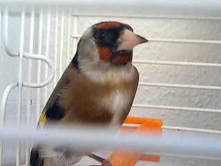 13032011730.jpg