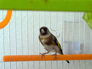 13032011729.jpg