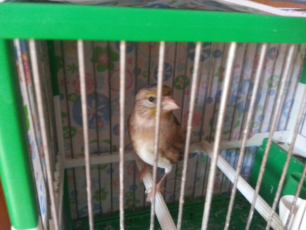 20130831_184956.jpg