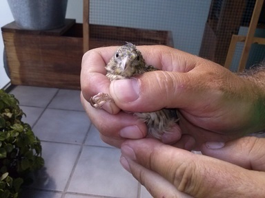 2013-08-30 13.43.48.jpg