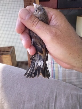 2013-08-30 13.45.24.jpg