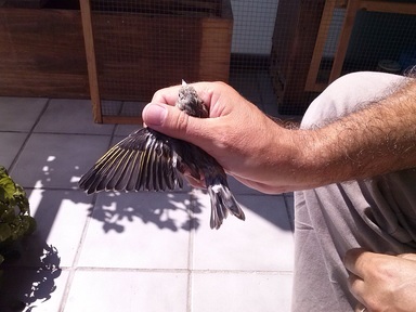 2013-08-30 13.45.50.jpg