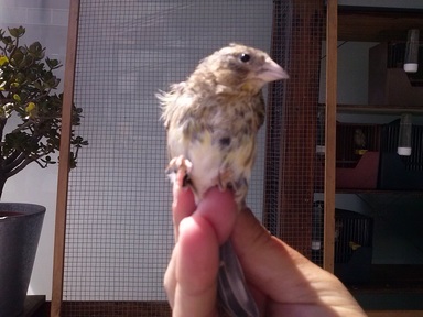 2013-08-30 13.46.22.jpg