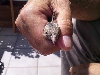 2013-08-30 13.47.00.jpg