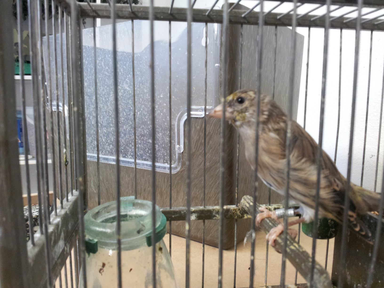 20130903_141353.jpg