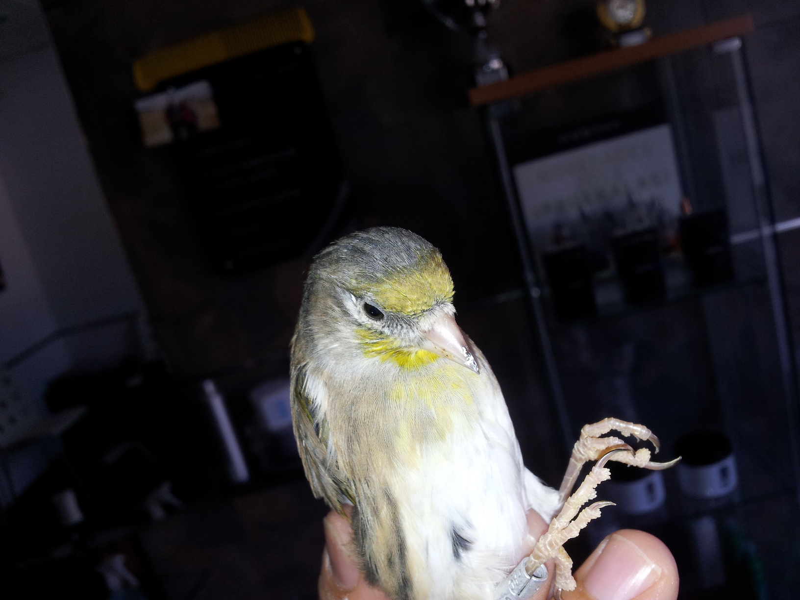 20130905_120136.jpg