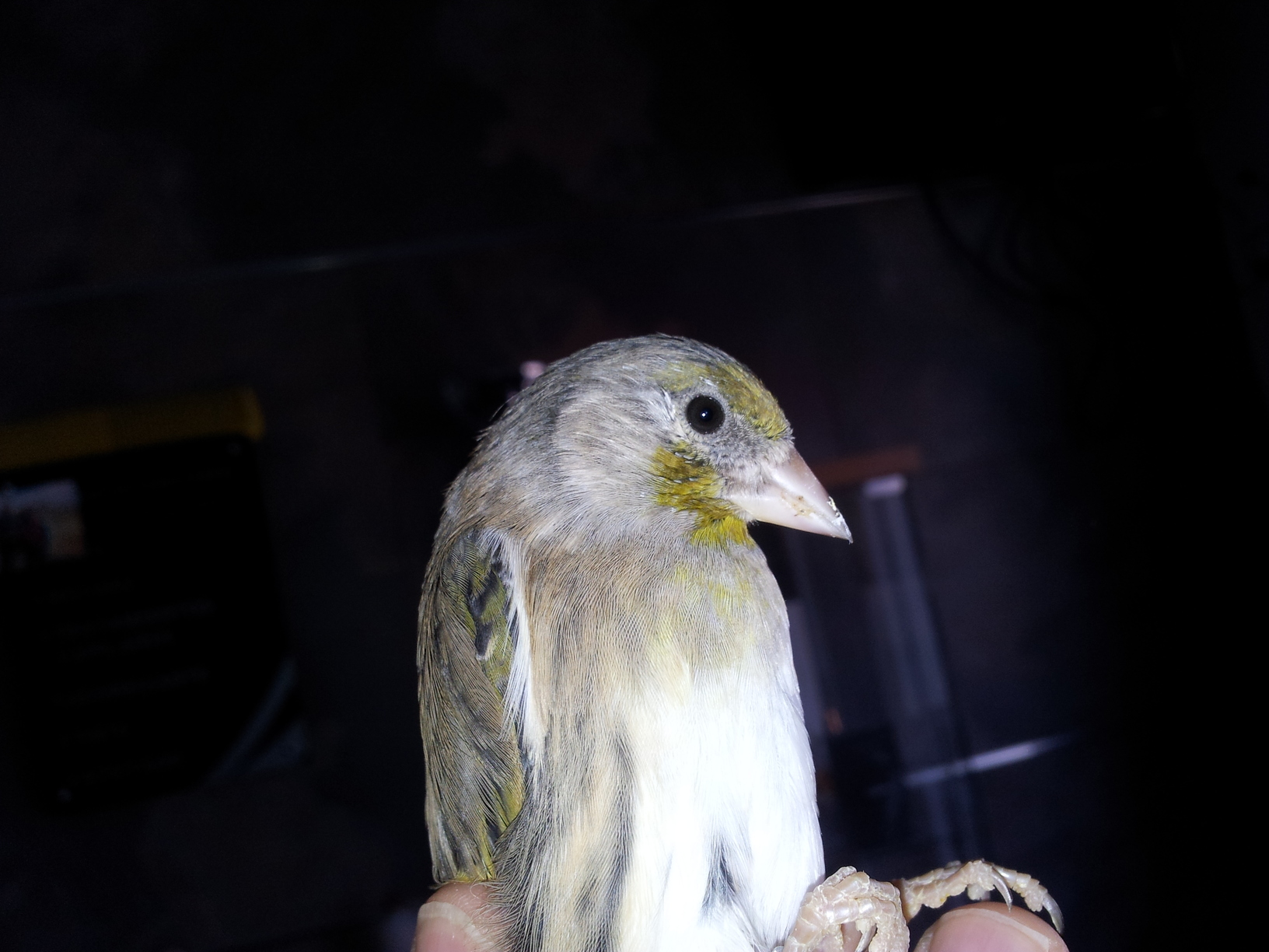 20130905_120118.jpg