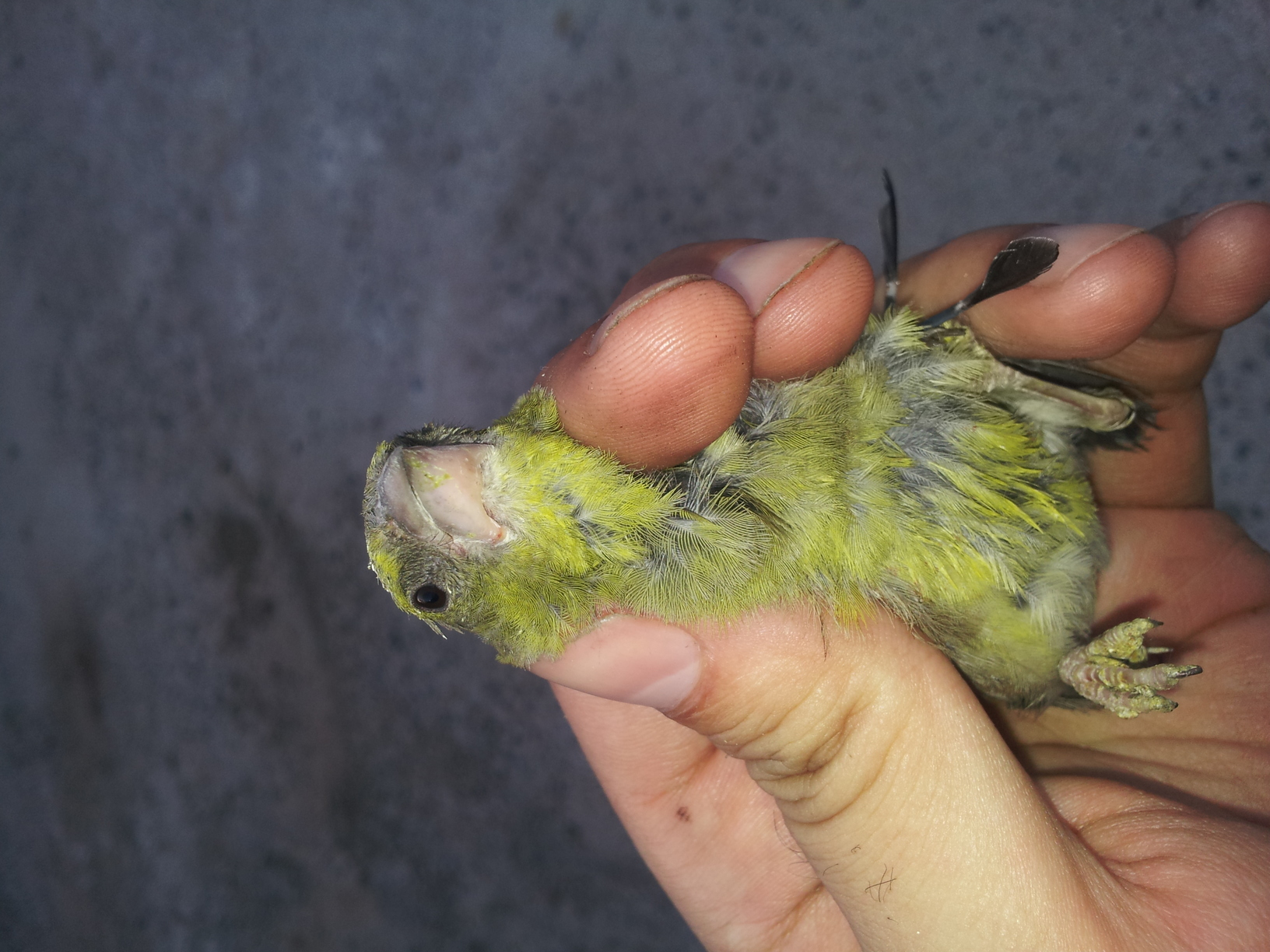20130827_201820.jpg