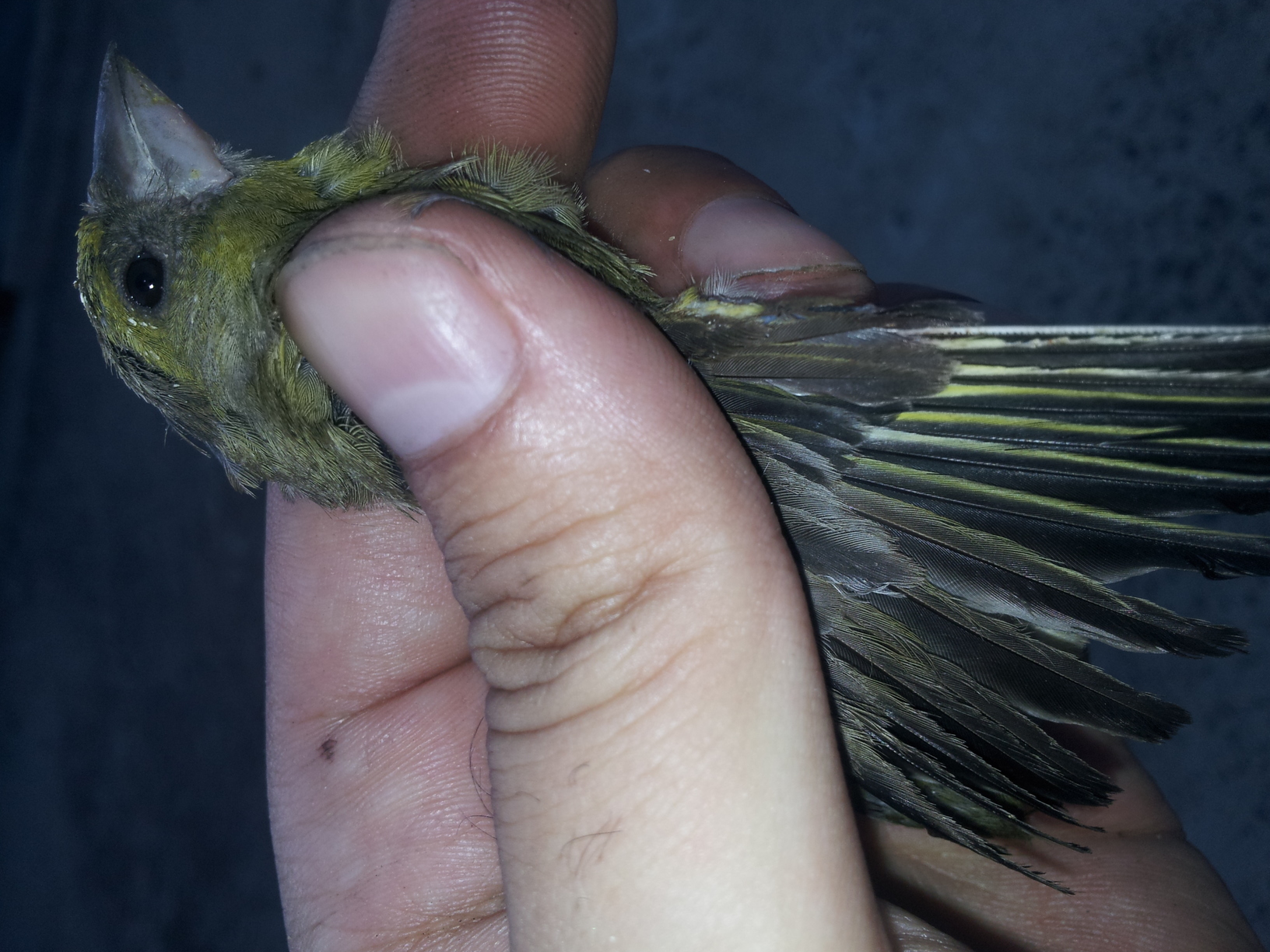 20130827_201918.jpg