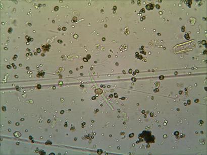 TS_11_06_13_40_29.jpg