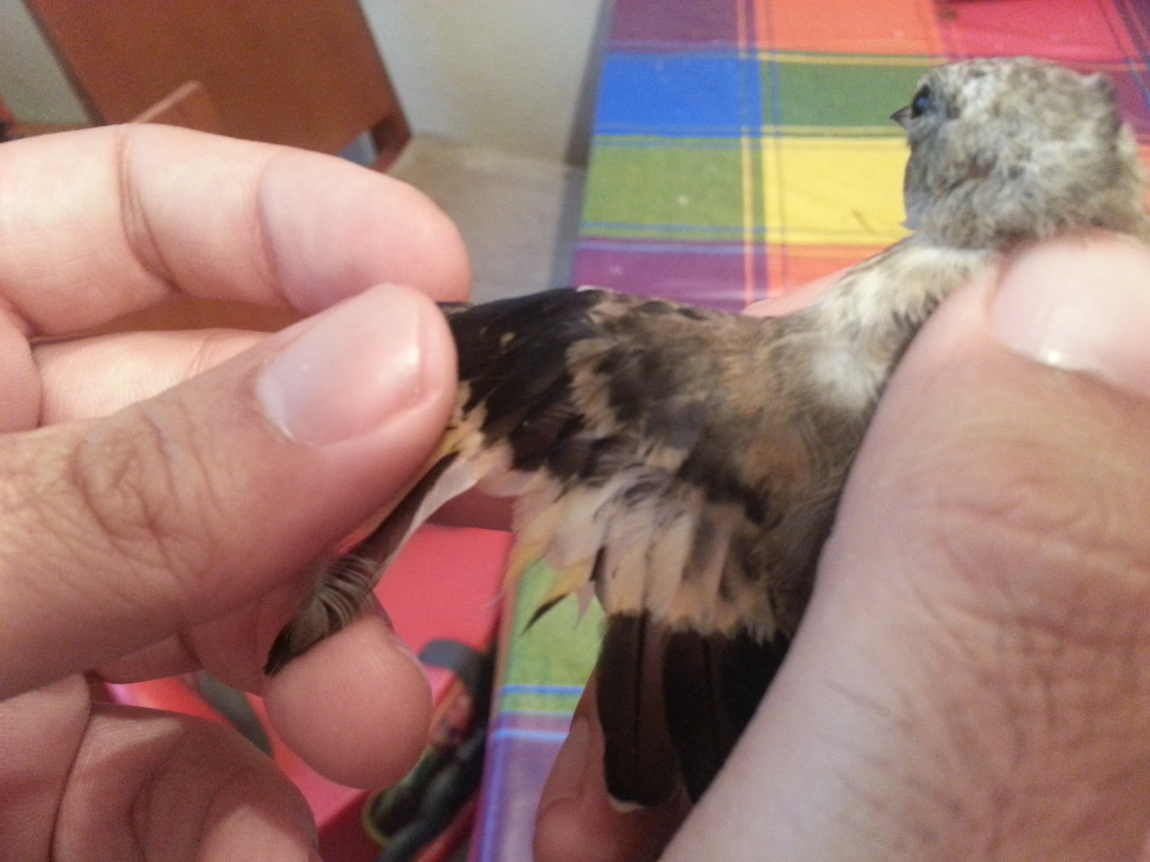 20130911_180951_1.jpg