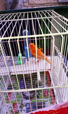 IMG-20130907-WA0001.jpg