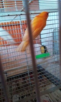 IMG-20130911-WA0000.jpg